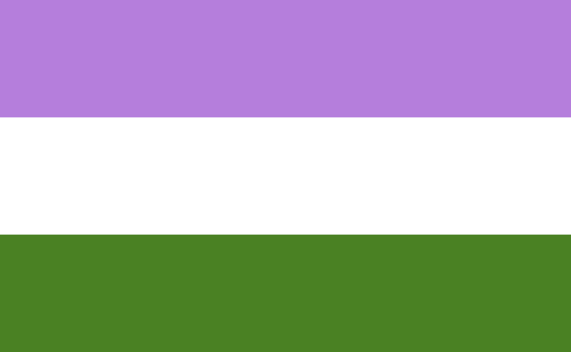 File:Genderqueer pride flag.png