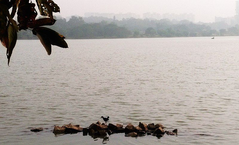 File:Hebbal lake water.jpg