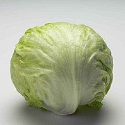 Liz Truss lettuce