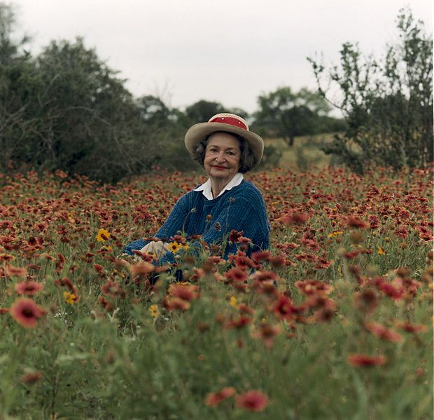 File:Lady bird 1990.jpg