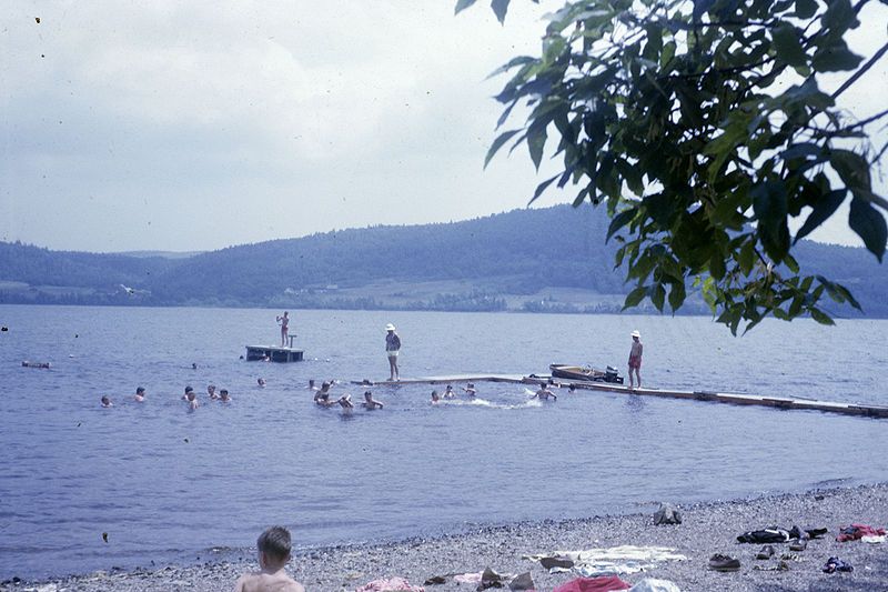 File:LongGullPond1964.jpg