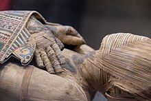 Mummification of the Pharaohs