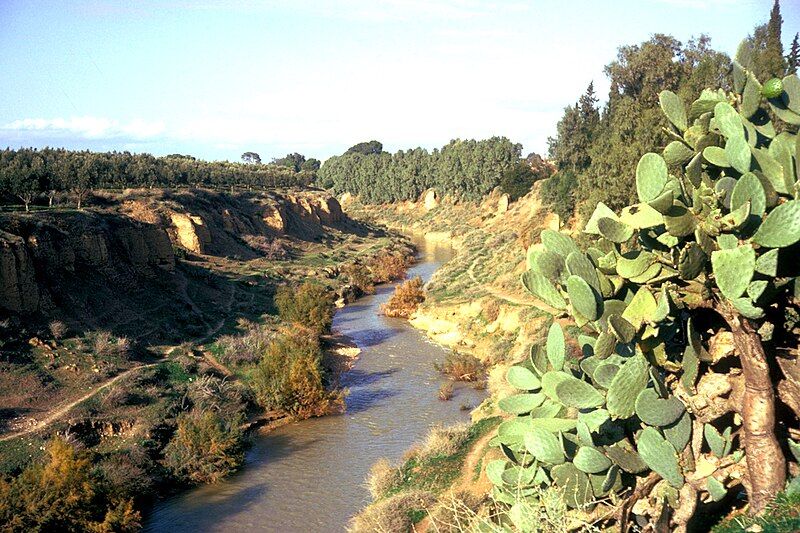 File:Oued sig.jpg