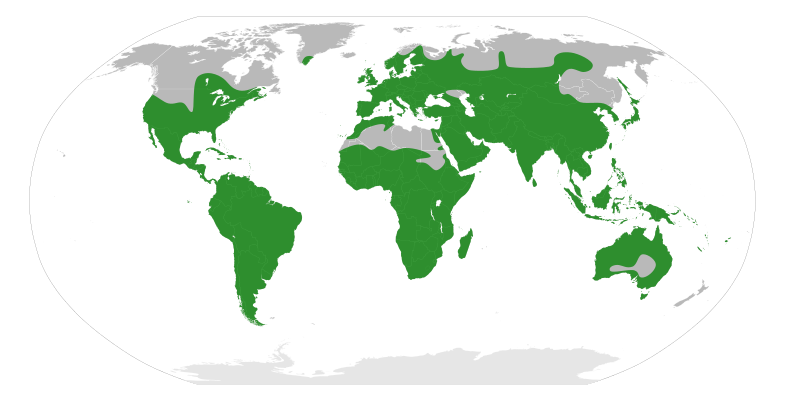 File:Polygaleae distribution.svg