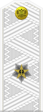 File:Russia-Navy-OF-6-1994-white.svg