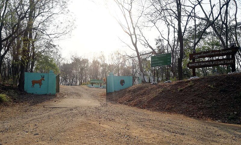 File:Shwesettaw Wildlife Sanctuary.jpg