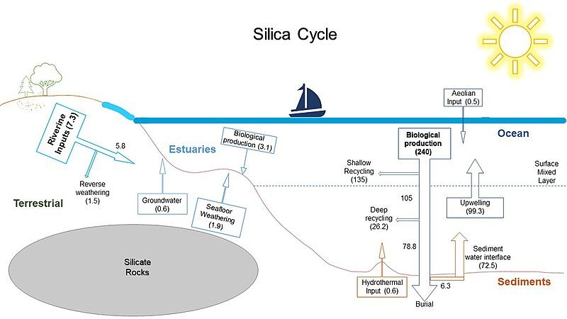 File:Silica cycle-draft.jpg