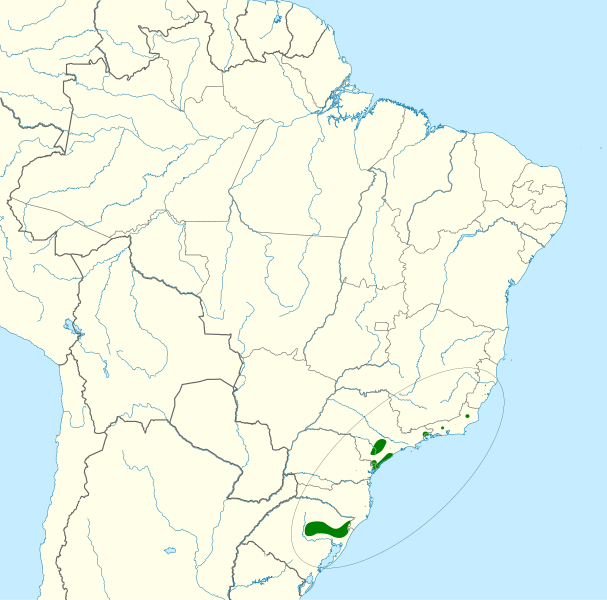 File:Triclaria malachitacea map.svg