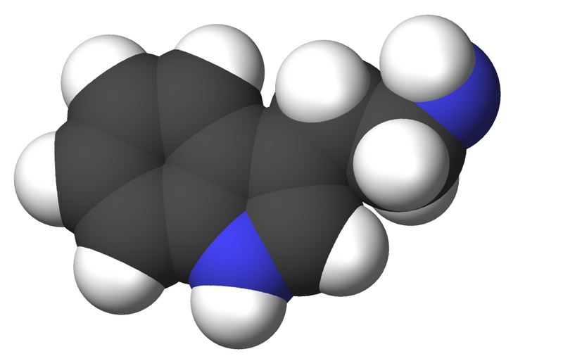 File:Tryptamine-3d-CPK.png