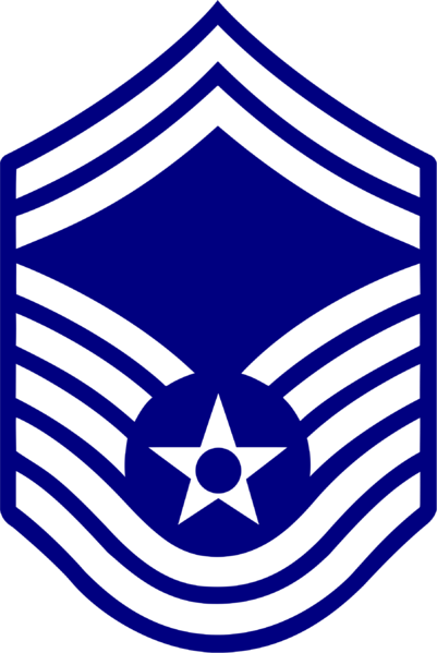 File:USAirF.insignia.e8.afmil.png