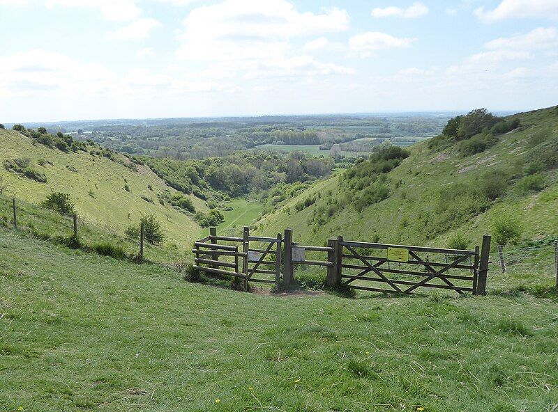 File:Wye Downs DKT.jpg