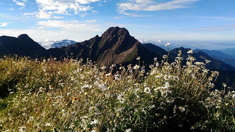 File:Yu-Shan National Park(WDPA-9030)-PeterWen-6.jpg