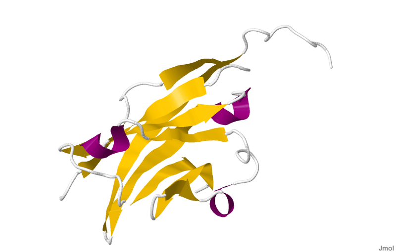 File:1PKO.pdb.png