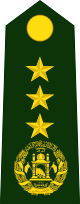 File:Afgn-Army-Dagar Jenral(LtGen).svg