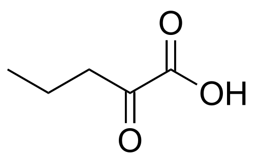 File:Alpha-ketovaleric acid.svg