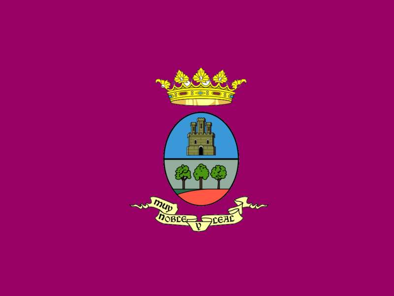 File:Bandera Villarrobledo Albacete.png