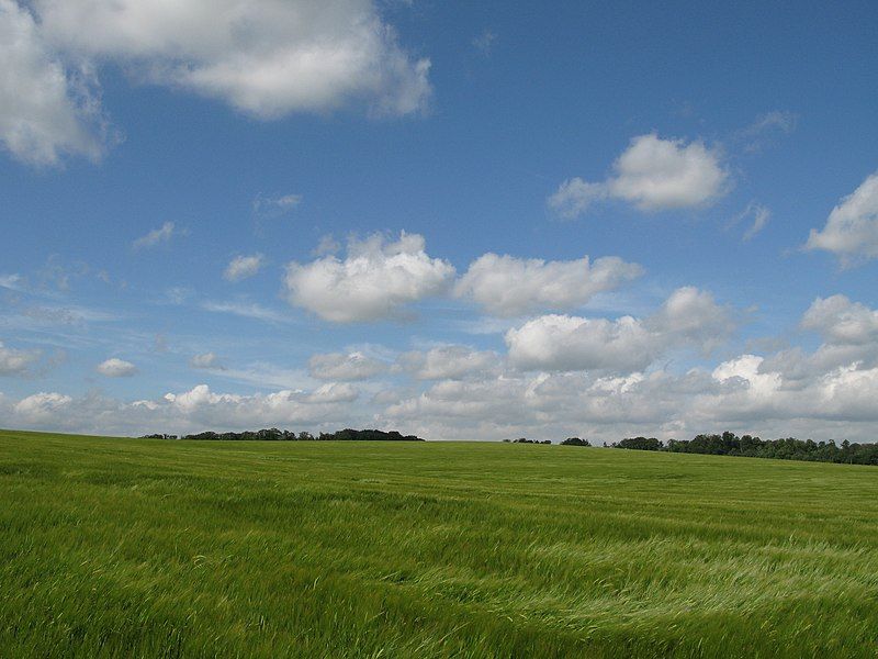 File:BarleyFields.jpg