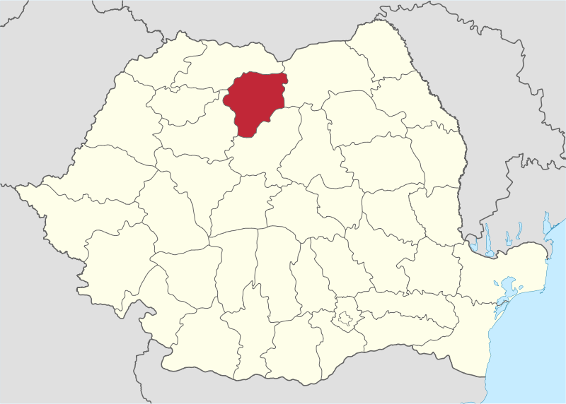 File:Bistrita-Nasaud in Romania.svg