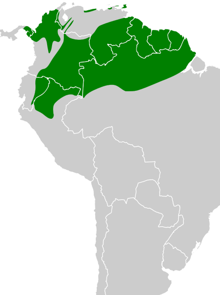 File:Ceratopipra erythrocephala map.svg