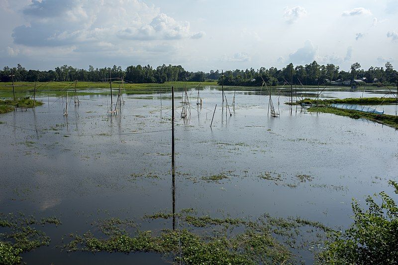 File:Chalan Beel.jpg