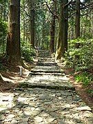 Daimonzaka (Kumano Kodō)