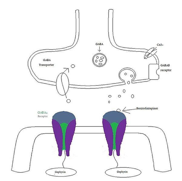 File:GABA synapse.jpg