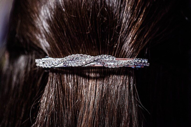 File:Hair Barrette.jpg