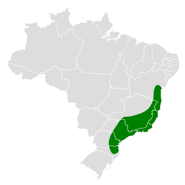 File:Hemithraupis ruficapilla map.svg