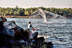 Fisherman casting from rocks