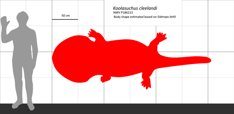 File:Koolasuchus scaling.png