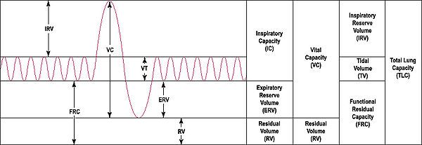 Output of a 'spirometer'