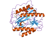 2nq7: Crystal structure of type 1 human methionine aminopeptidase in complex with 3-(2,2-Dimethylpropionylamino)pyridine-2-carboxylic acid thiazole-2-ylamide