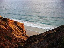 Beach at Torrey Pines