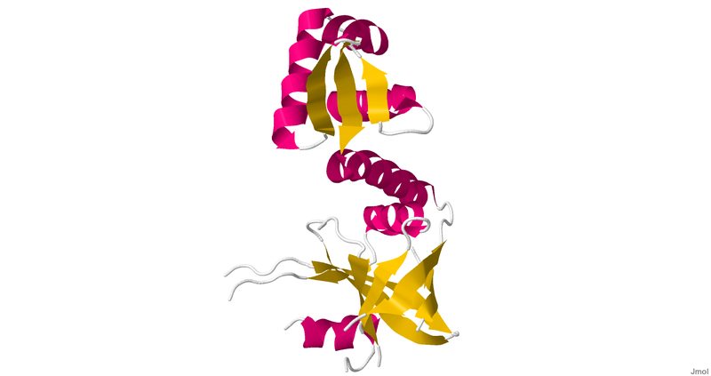 File:Riboflavkinase.png