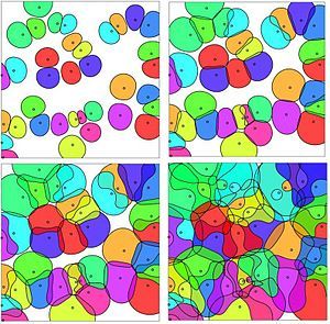 SINR cells