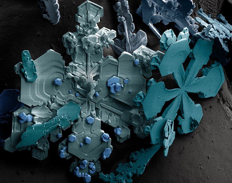 File:Snow crystals.jpg