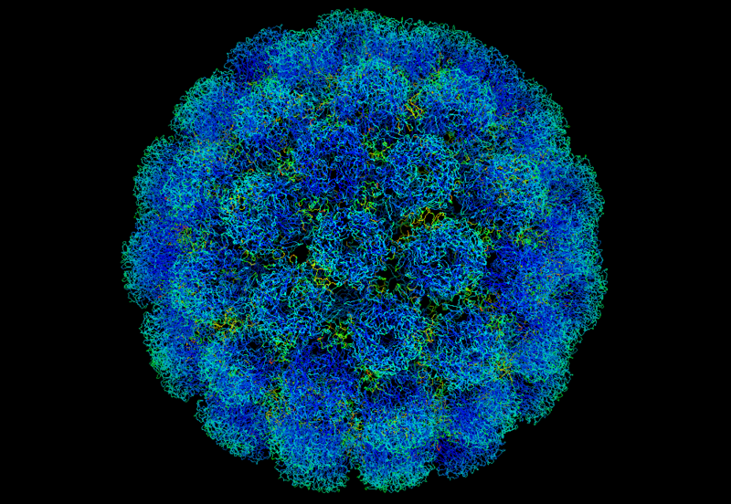 File:Symian virus.png