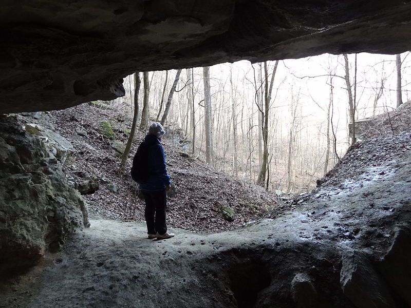 File:ThumpingDickHollow-Cave1-EntranceInterior.jpg