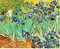 Vincent van Gogh: Irises, J. Paul Getty Museum, Los Angeles