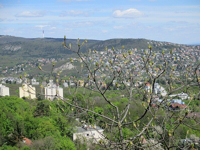 File:View of Buda.jpg