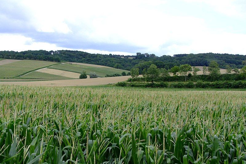 File:Weinsteig Befestigte Siedlung.jpg