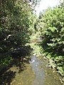 Kedron Brook looking downstream (2021).