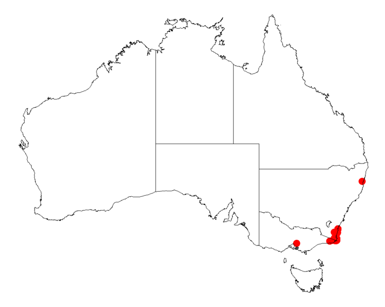 File:Acacia subporosaDistMap868.png