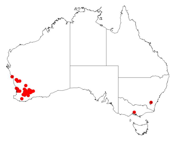 File:Acacia trigonophyllaDistMap906.png