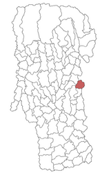 Location in Argeș County