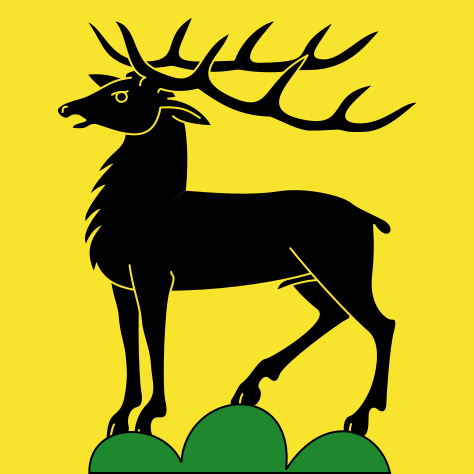 File:CHE Eglisau Flag.svg