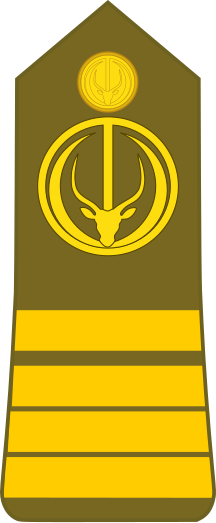 File:Chad-Army-OF-3.svg