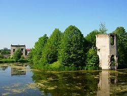 Ruins of Ćmielów Castle