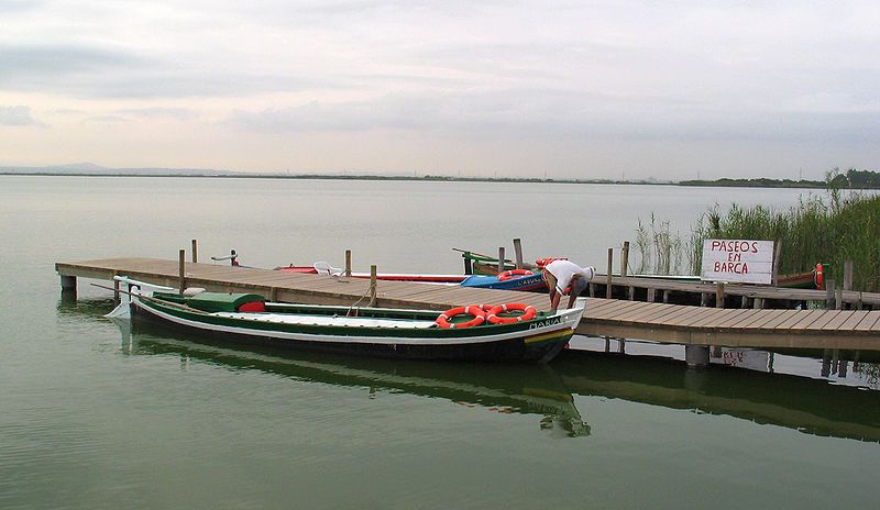 File:ES Valencia Albufera.jpg