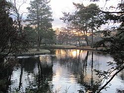 A park in East Patchogue